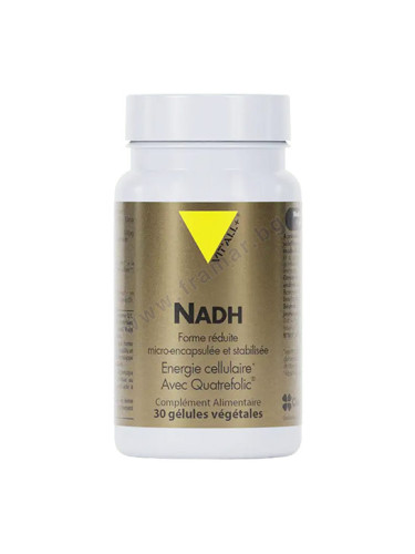 NADH / НИКОТИНАМИД АДЕНИН ДИНУКЛЕОТИД + ФОЛИЕВА КИСЕЛИНА капсули * 30 VIT`ALL+