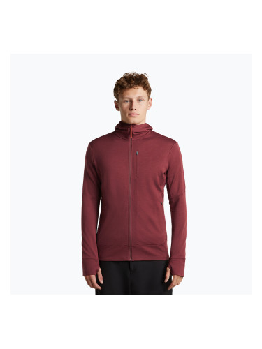 Мъжки суитшърт Icebreaker Merino 260 Quantum IV LS Zip Hoodie port/agate