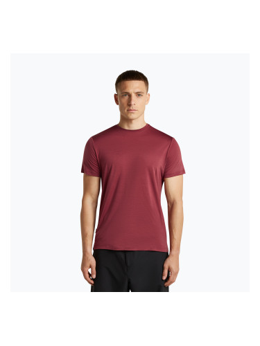 Мъжка тениска за трекинг icebreaker Merino 125 Cool-Lite Sphere III port