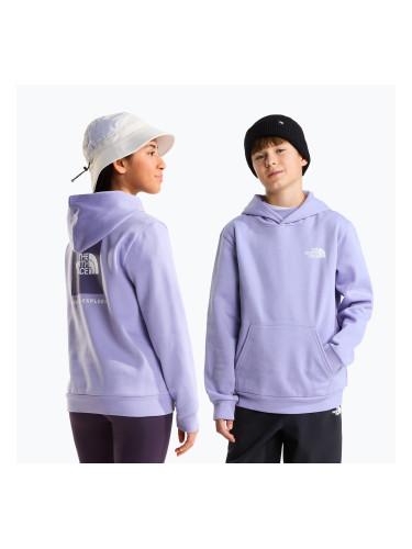 Детски суитшърт The North Face Evolution Box NSE Pullover Hoodies pale plum