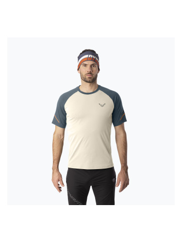 Мъжка тениска за бягане DYNAFIT Alpine Pro overcast/0720