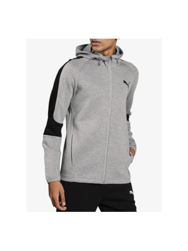 PUMA Evostripe Core FZ Hoodie Gray/Black