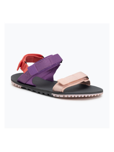 Дамски сандали за боси крака Xero Shoes D-Trail devberry / multi