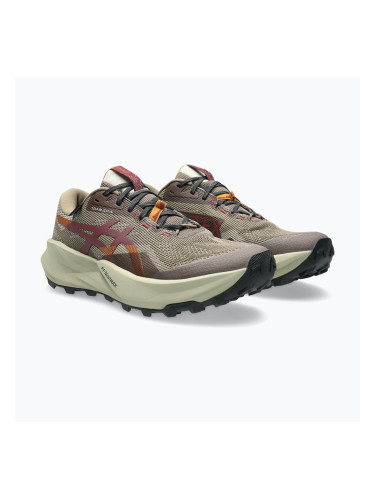 Мъжки обувки за бягане  Asics Trabuco 14 Gtx taupe grey/oatmeal