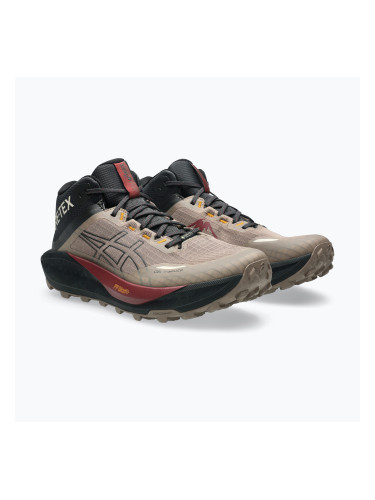 Мъжки обувки за бягане  Asics Gel-Trabuco Mt Gtx taupe grey/graphite grey
