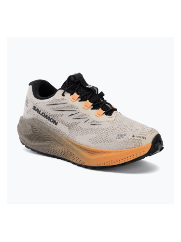 Дамски обувки за бягане Salomon Aero Blaze 4 GRVL GTX rainy day/black