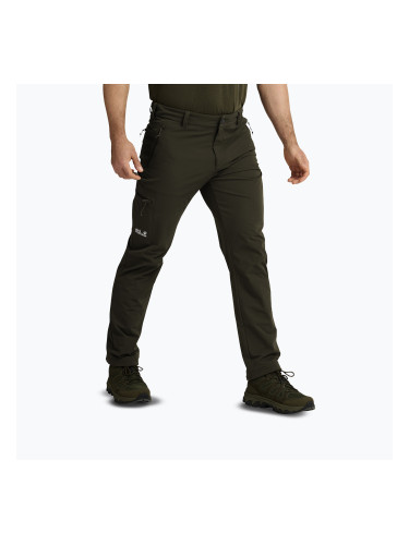 Мъжки панталони за трекинг Jack Wolfskin Activate Flex obsidian moss