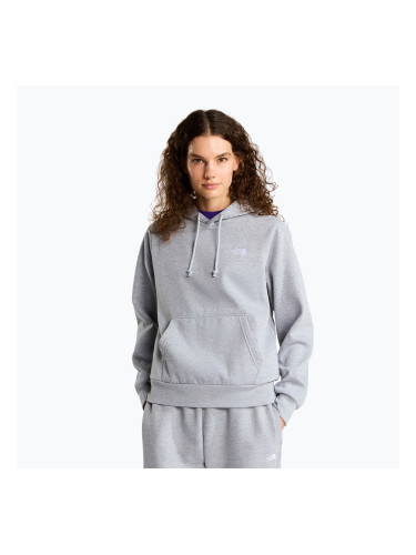 Дамски суитшърт The North Face Evolution Simple Dome Regular Hoodie tnf pale grey heather