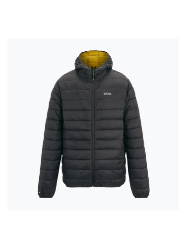 Мъжко пухено яке Regatta Hooded Marizion ash/sunset