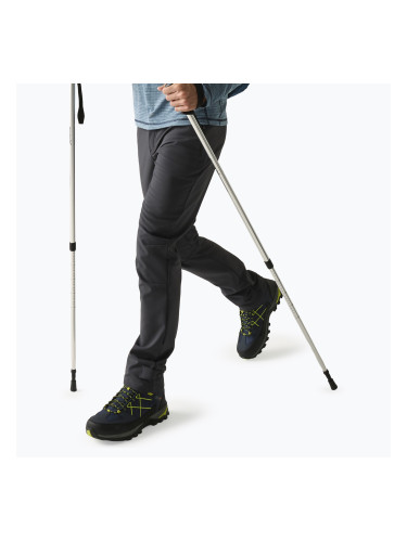 Мъжки софтшел панталони REGATTA Geo Softshell ash