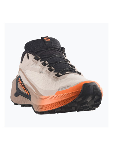 Дамски обувки за бягане Salomon Genesis 2 GTX rainy day/desert tan
