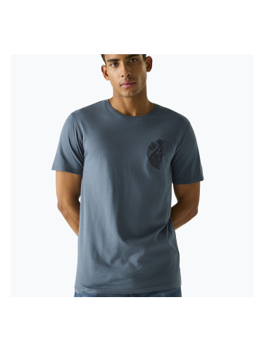 Мъжка тениска REGATTA ClineIX grey mirage regatta compass