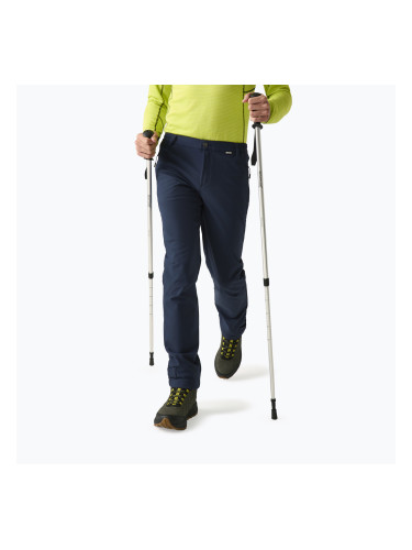 Мъжки софтшел панталони REGATTA Geo Softshell navy