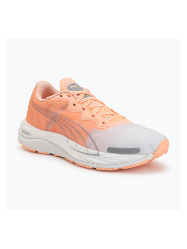 Дамски обувки за бягане Puma Velocity Nitro 2 melon/white/grey