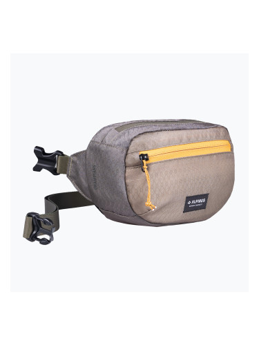 Чантичка за кръста Alpinus Grampians 2 l olive 