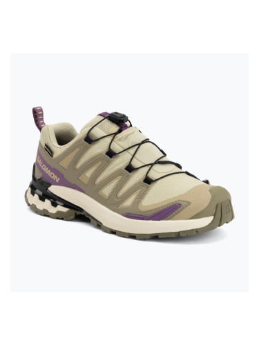 Дамски обувки за бягане Salomon XA Pro 3D V9 GTX bog/aloe