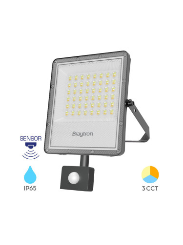 LED прожектор, 3 в 1 цвята, 50W, 250VAC, 5500lm, IP65, BT65-25082