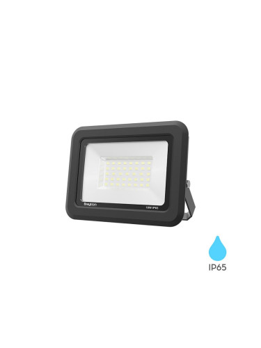 LED прожектор, 10W, 230VAC, 800lm, 6500K, студено бял, IP65, BT60-31031
