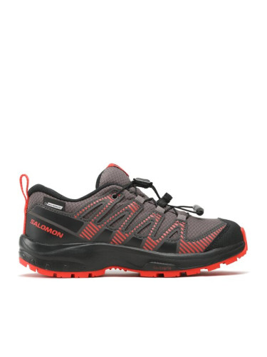 Salomon Маратонки за бягане Xa Pro V8 Cswp J 416139 09 W0 Сив