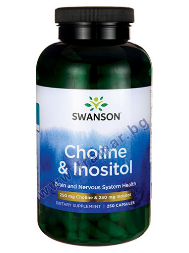 СУОНСЪН ХОЛИН И ИНОЗИТОЛ капсули 250 мг / 250 мг * 250