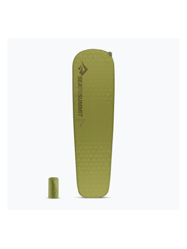 Самонадуваща се постелка за къмпинг Sea to Summit Regular 3,8 cm Green AMSICMR