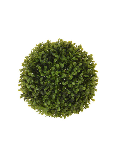 ДЕКОРАТИВНО РАСТЕНИЕ ТОПКА ЧЕМШИР