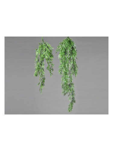 ДЕКОРАТИВНО ВИСЯЩО РАСТЕНИЕ
