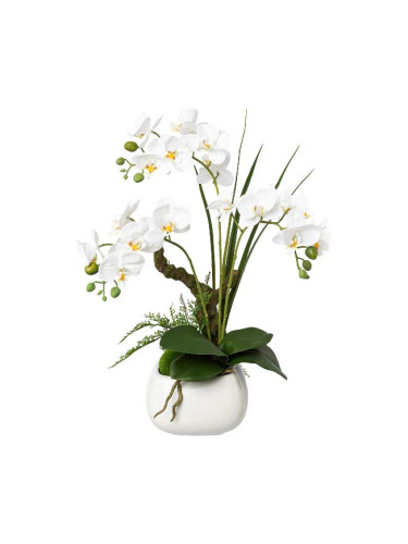 ДЕКОРАТИВНА БЯЛА ОРХИДЕЯ В КАШПА 46 СМ