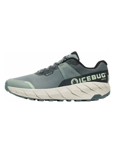 Icebug Arcus Womens RB9X GTX Green/Stone 40 Трейл обувки за бягане