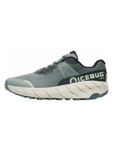 Icebug Arcus Womens RB9X GTX Green/Stone 39 Трейл обувки за бягане