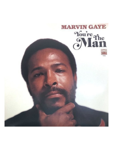 Marvin Gaye - You're The Man (2 LP)