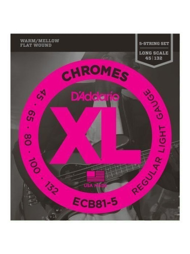 D'Addario ECB81-5