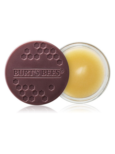 Burt’s Bees Lip Treatment интензивна нощна грижа за устни 7.08 гр.