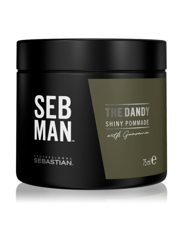 Sebastian Professional SEB MAN The Dandy помада за коса за естествена фиксация 75 мл.