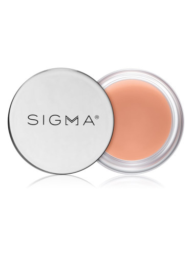 Sigma Beauty Hydro Melt Lip Mask хидратираща маска за устни с хиалуронова киселина цвят Hush 9,6 гр.