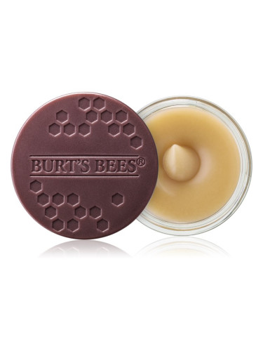 Burt’s Bees Lip Scrub пилинг за устни с подхранващ ефект 7.08 гр.