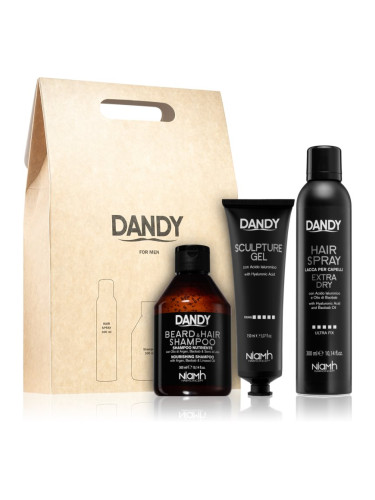 DANDY Styling gift set подаръчен комплект за мъже