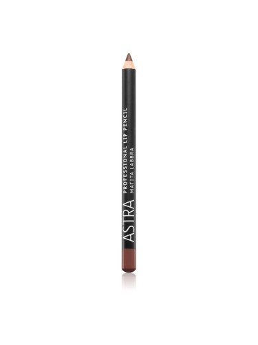 Astra Make-up Professional молив-контур за устни цвят 41 Wood 1,1 гр.