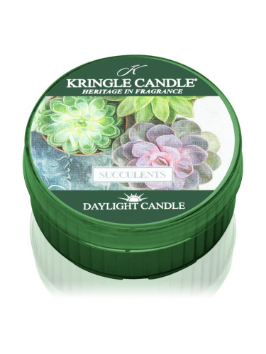 Kringle Candle Succulents чаена свещ 42 гр.