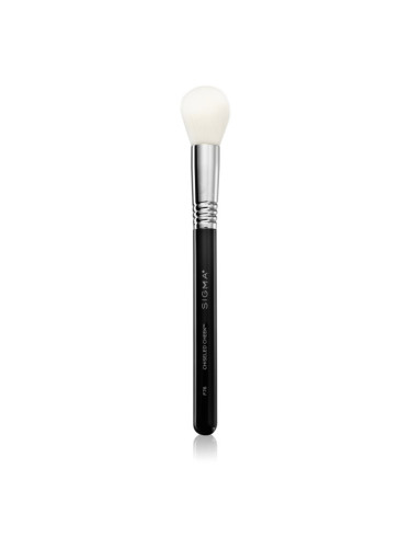 Sigma Beauty Face F76 Chiseled Cheek™ пилинг за душ, преди нанасяне на продукт за тен 1 бр.