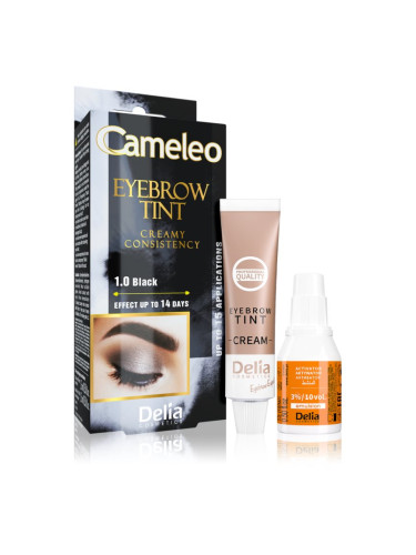 Delia Cosmetics Cameleo професионална крем-боя за вежди без амоняк цвят 1.0 Black 15 мл.