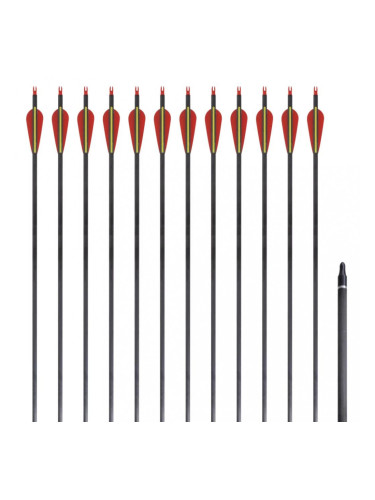 Стандартни стрели за лък 0,76 см карбонови 12 бр.