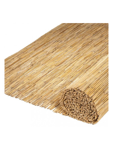 Nature 2 бр градински паравани, бамбукова тръстика, 500x100 см