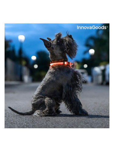 LED Нашийник за Домашни Любимци Petlux InnovaGoods
