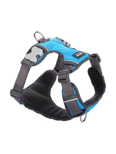 Каишка за Куче Red Dingo Подложка цвят тюркоаз Размер S