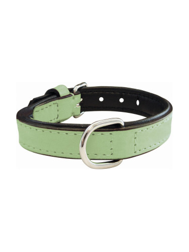Кучешки Нашийник Gloria Подложка Зелен (35 x 1,5 cm)