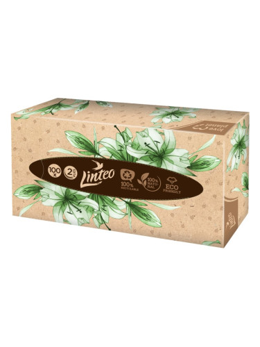 Linteo Paper Tissues Two-ply Paper, 100 pcs per box хартиени кърпички 100 бр.