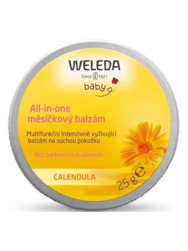 Weleda Baby Derma Балсам за суха и чувствителна кожа 25 гр.