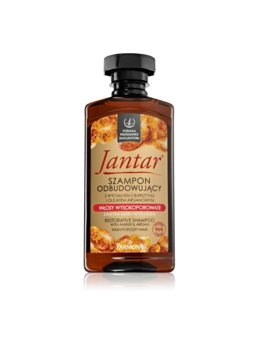 Farmona Jantar High Porosity Hair подхранващ шампоан за блясък и мекота на косата 330 мл.