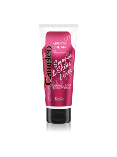 Delia Cosmetics Cameleo Smooth & Shine 60 sec крем за коса за блясък и мекота на косата 250 мл.